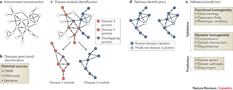 Functional Genomics